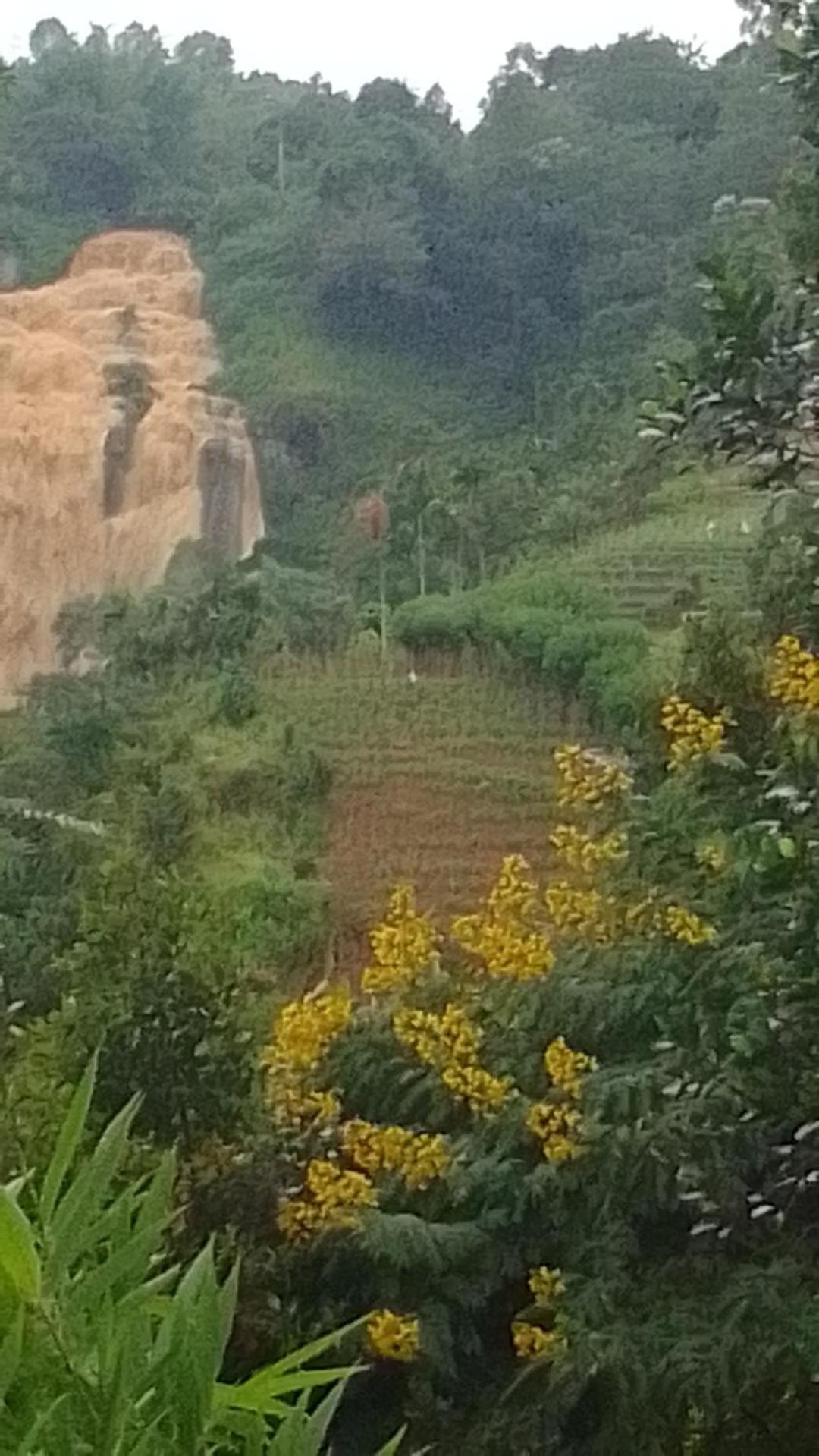 Nature'S Glow Home Stay And Restaurant Ella Extérieur photo