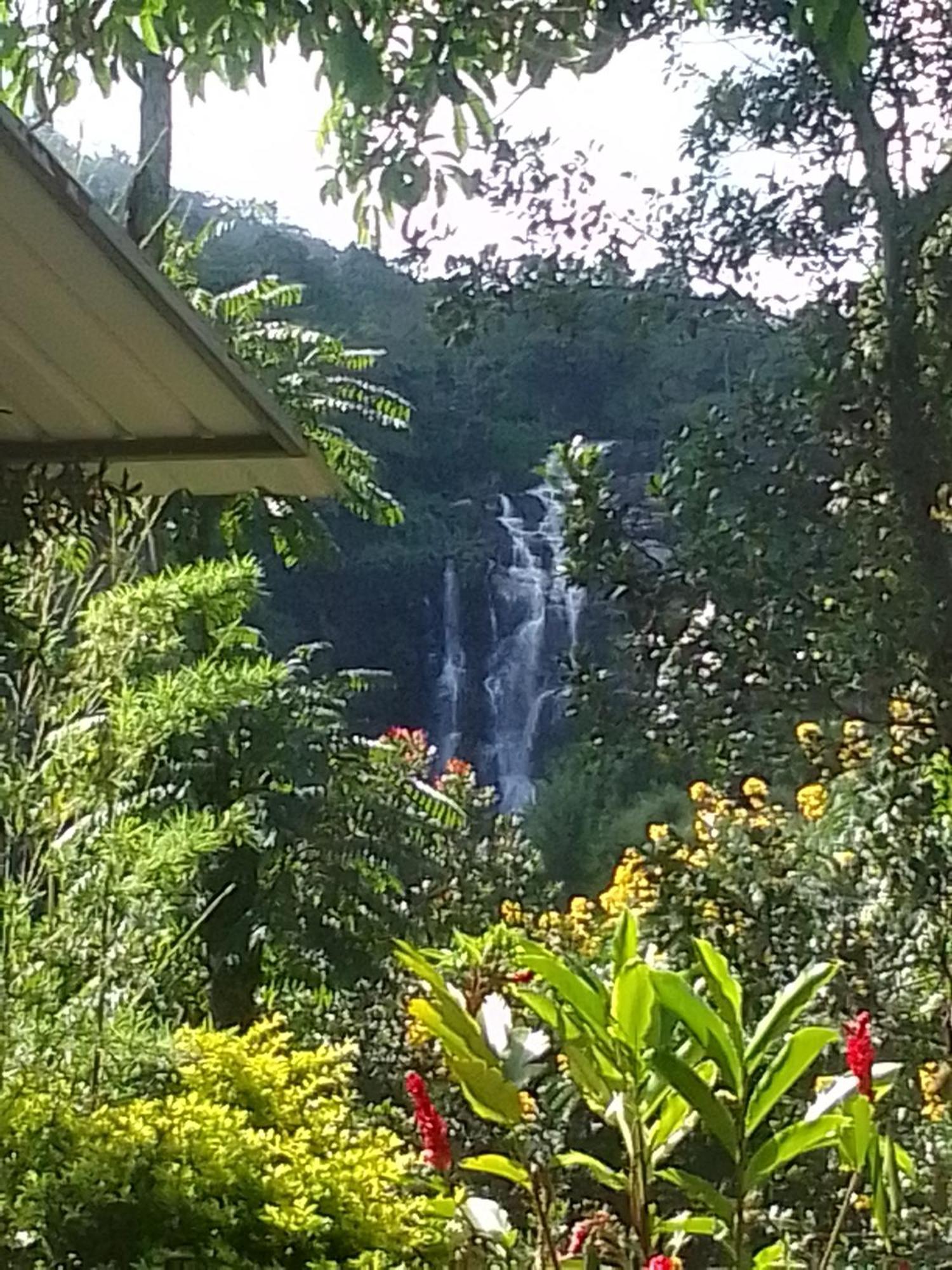 Nature'S Glow Home Stay And Restaurant Ella Extérieur photo