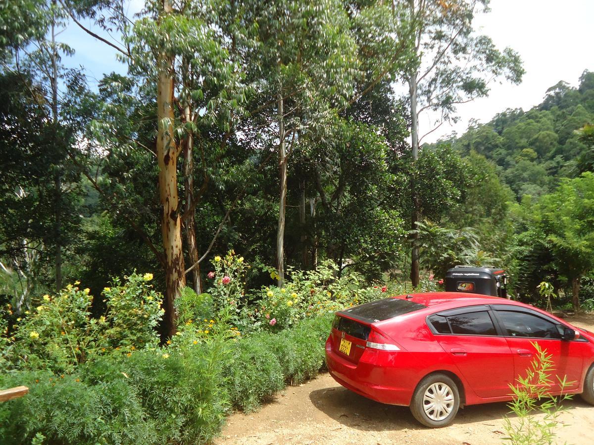 Nature'S Glow Home Stay And Restaurant Ella Extérieur photo