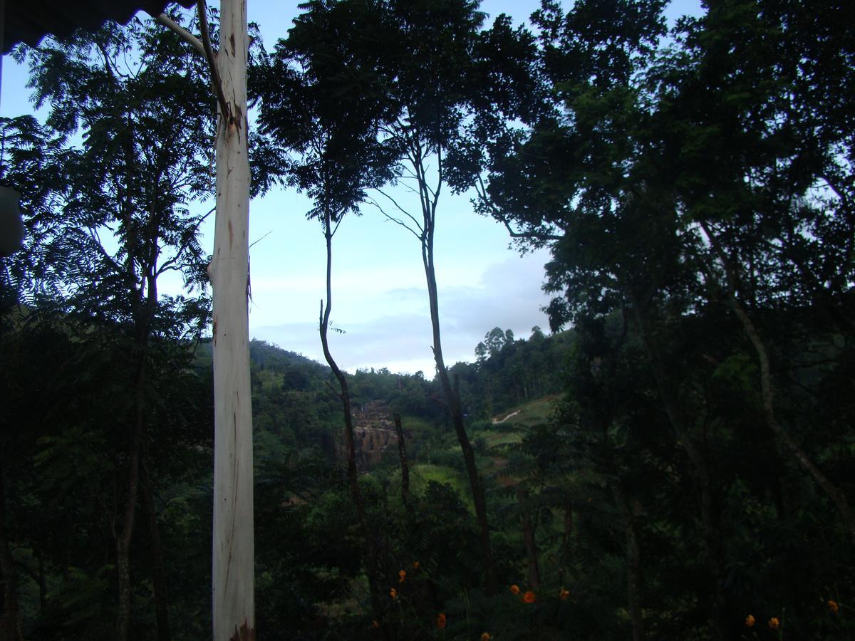 Nature'S Glow Home Stay And Restaurant Ella Extérieur photo