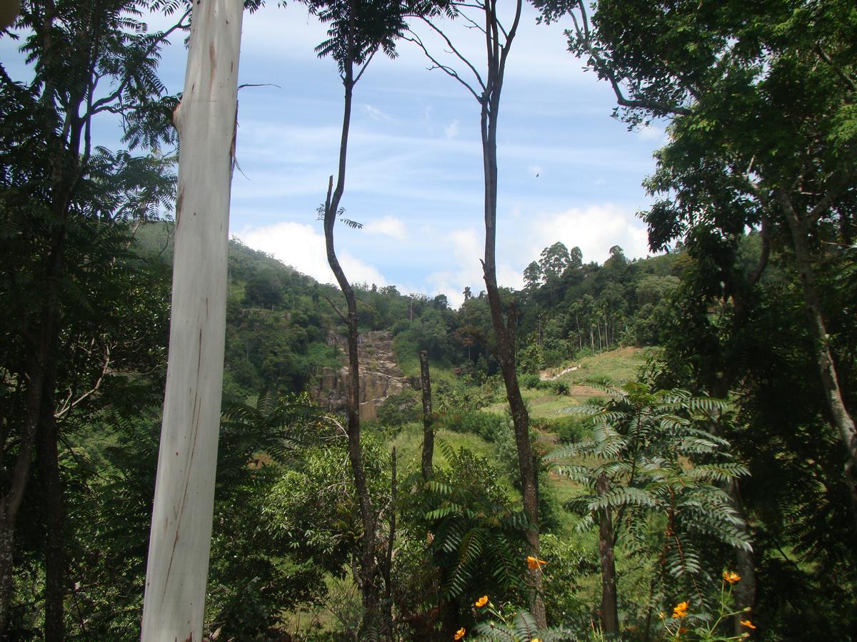 Nature'S Glow Home Stay And Restaurant Ella Extérieur photo