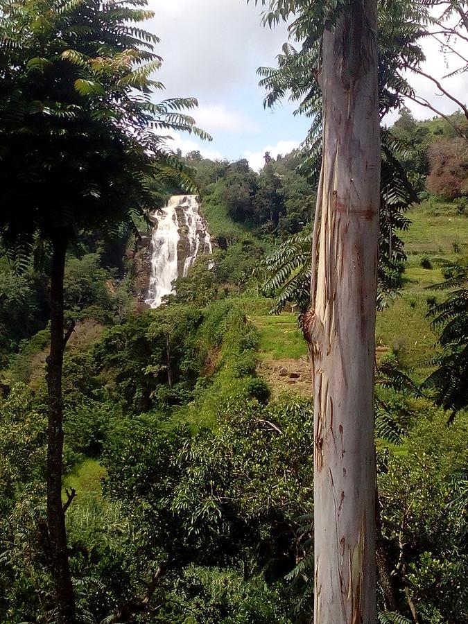 Nature'S Glow Home Stay And Restaurant Ella Extérieur photo