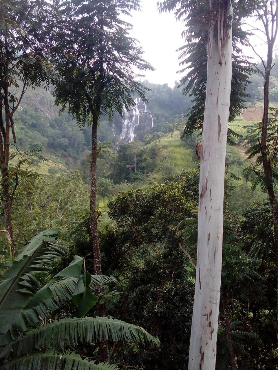 Nature'S Glow Home Stay And Restaurant Ella Extérieur photo